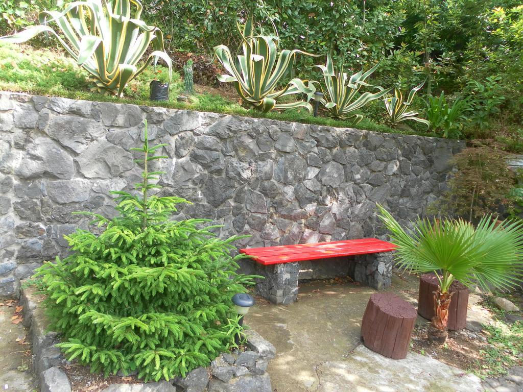 Holiday House Green Cape Batumi Hotell Mtsvane Konts'khi Exteriör bild