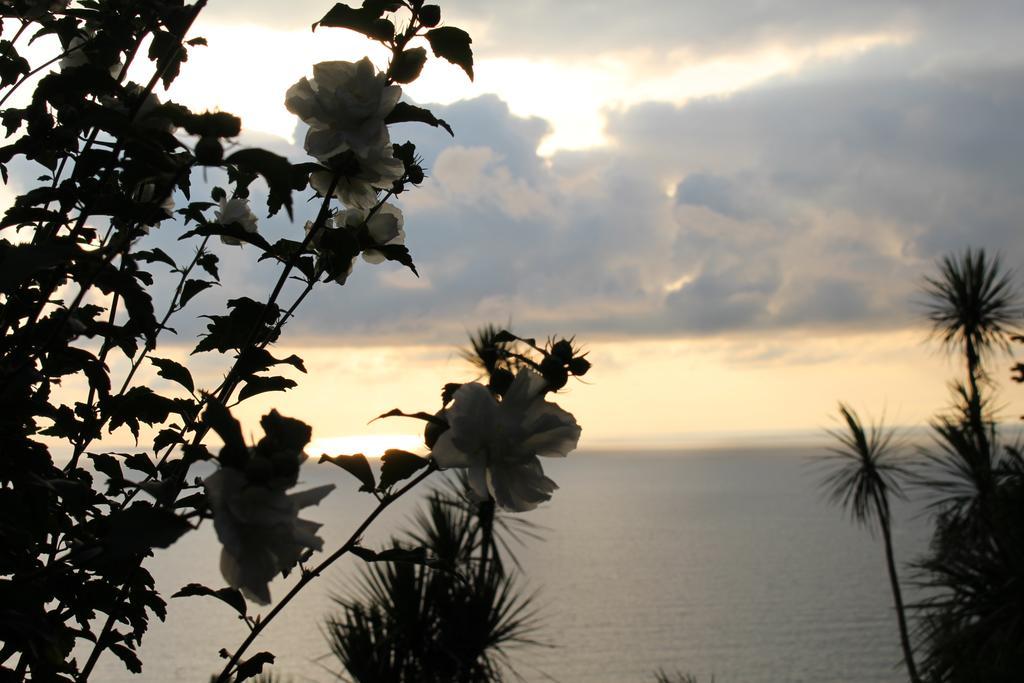 Holiday House Green Cape Batumi Hotell Mtsvane Konts'khi Exteriör bild