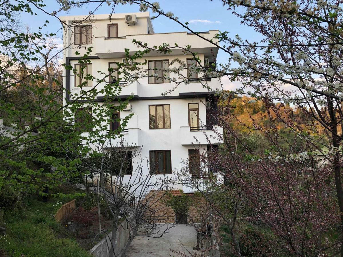 Holiday House Green Cape Batumi Hotell Mtsvane Konts'khi Exteriör bild