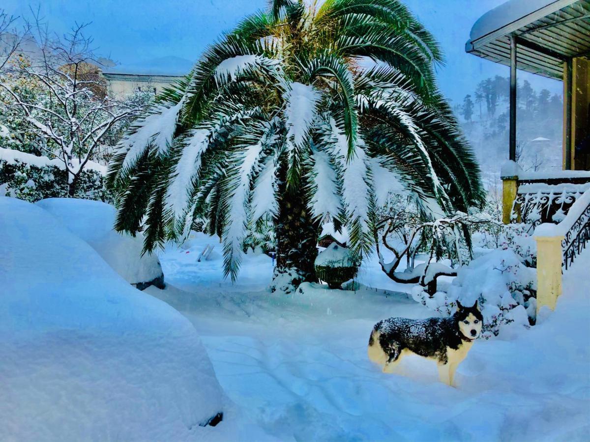 Holiday House Green Cape Batumi Hotell Mtsvane Konts'khi Exteriör bild
